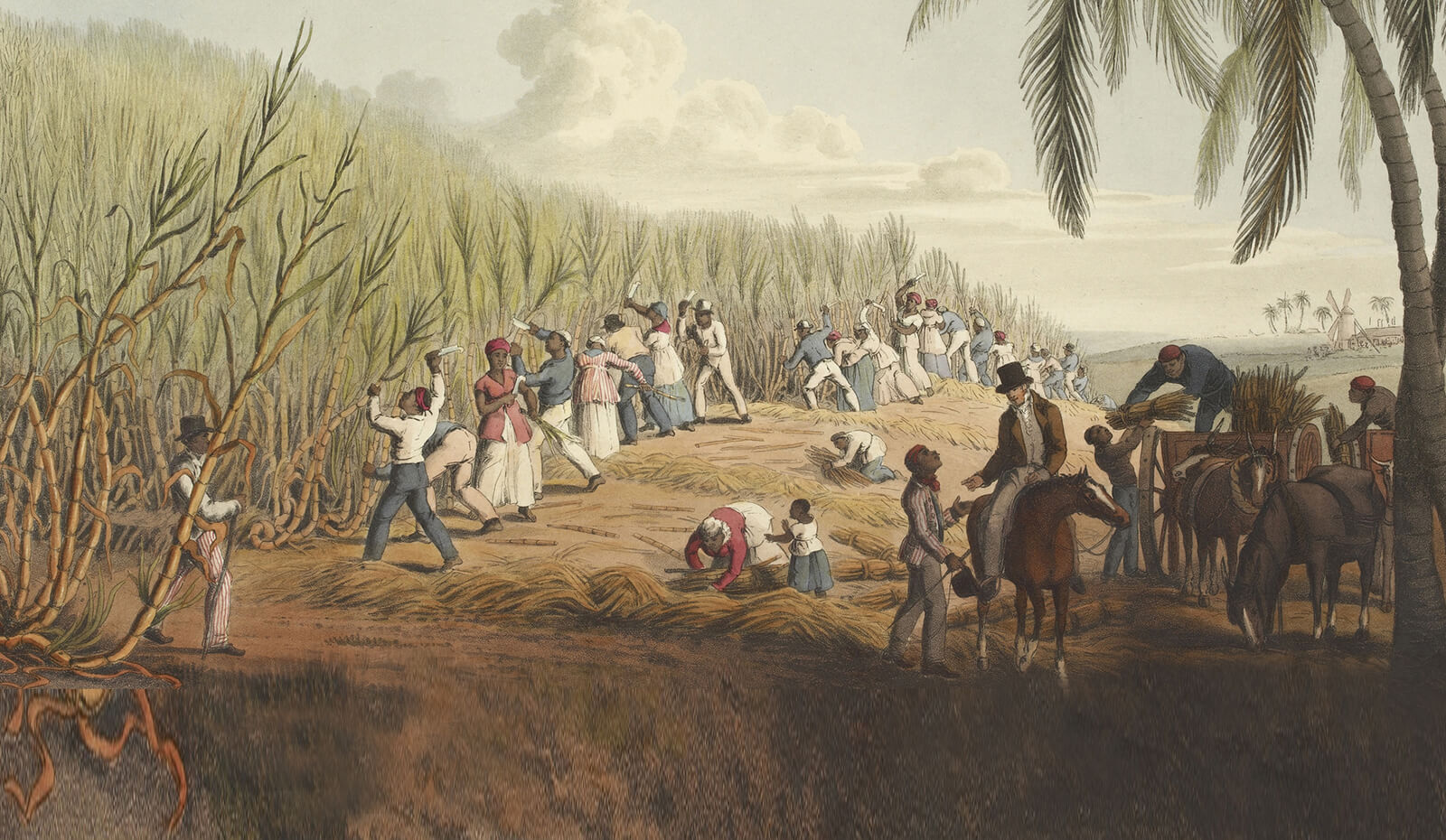 Image Alt Text