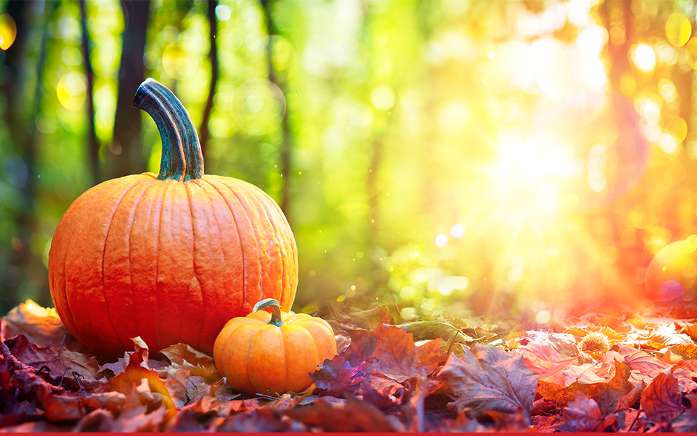 Halloween British Online Archives