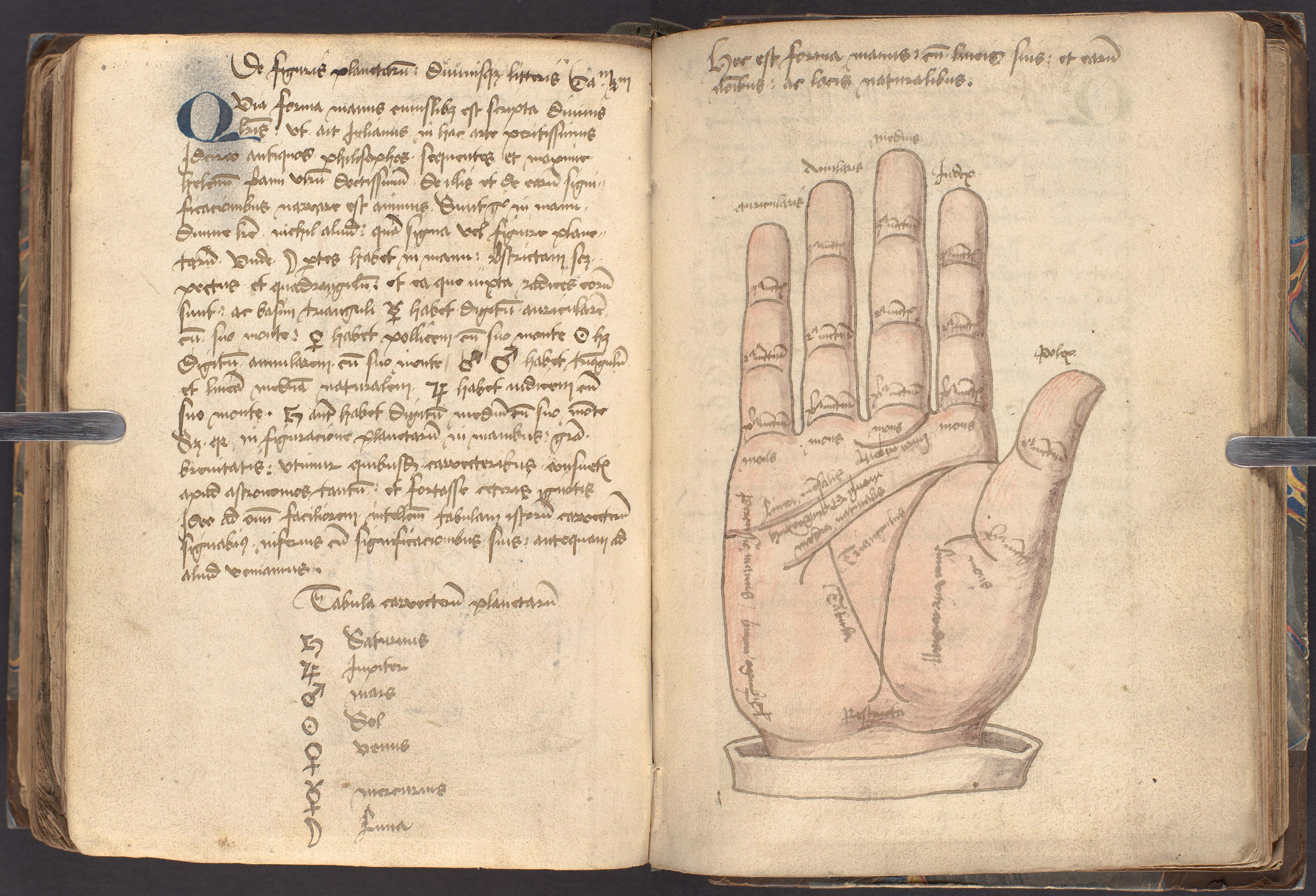 Two page spread from Chyromantia at Natura Planetarum, featuring an annotated illustration of a palm on the right page.