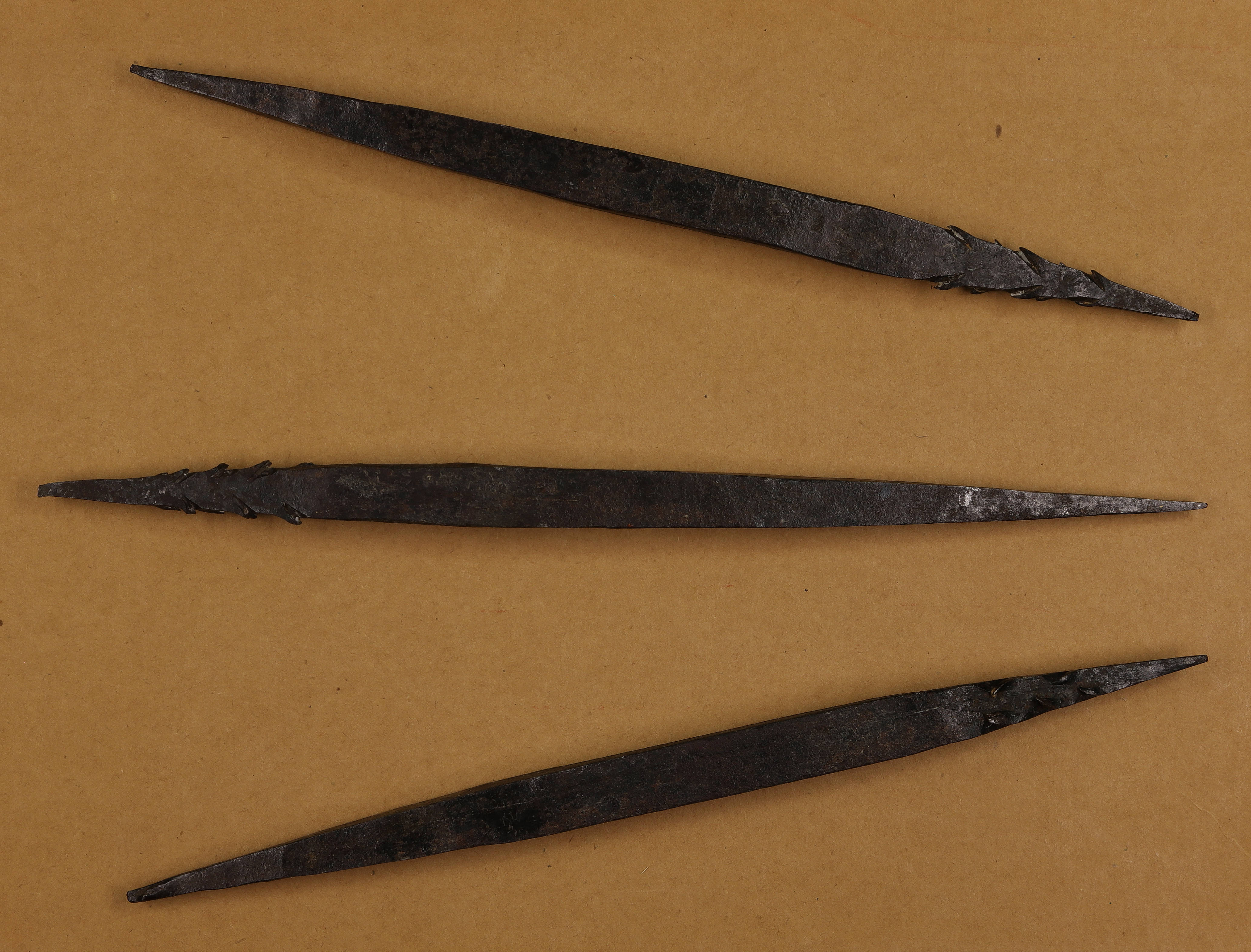 A photograph of three pike heads.