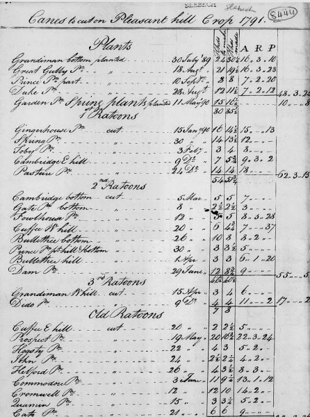 Page of an account titled Canes to cut on Pleasant Hill Crop 1791.