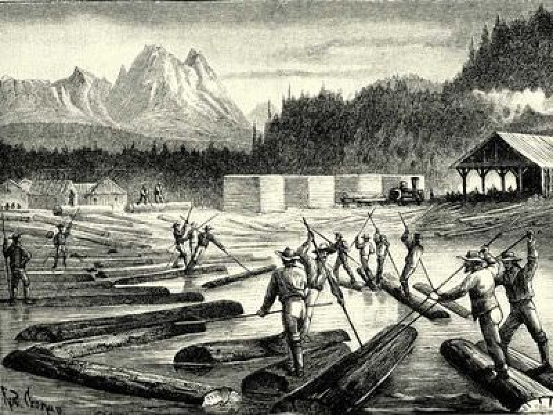 An engraved illustration of timber rafters in Canada, 1897