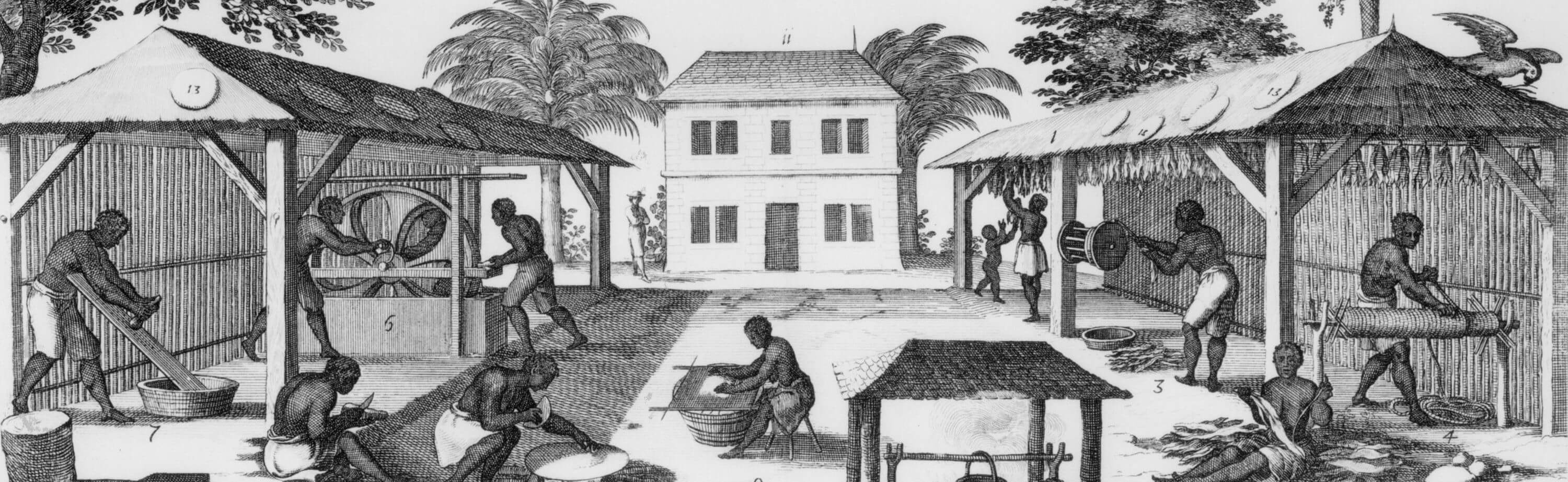 Life for enslaved Africans in the Caribbean included curing tobacco, making rope (on right), and preparing cassava or manioc roots (left and center). 1667 engraving by Sebastien Le Clerc.