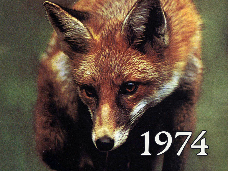 View volume: 1974.