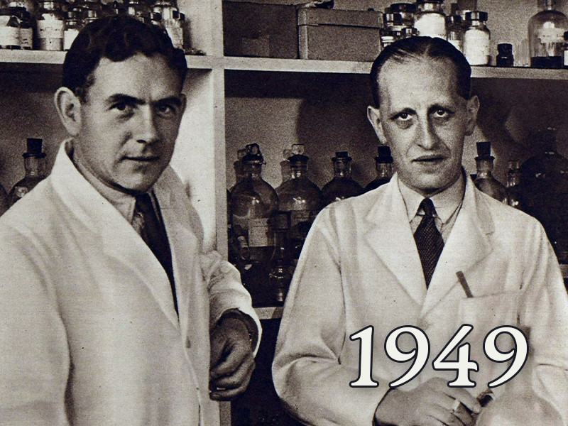 View volume: 1949.