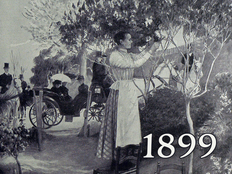 View volume: 1899.