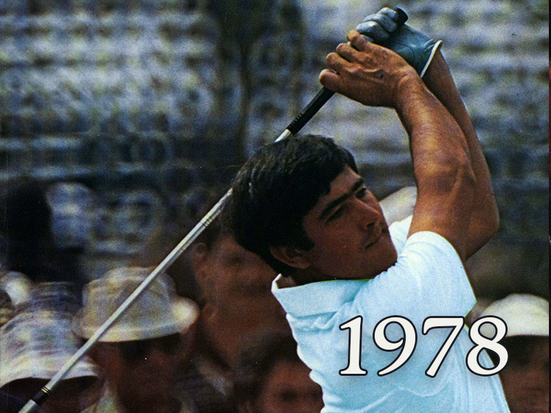 View volume: 1978.