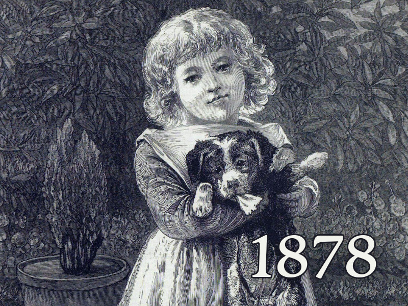 View volume: 1878.