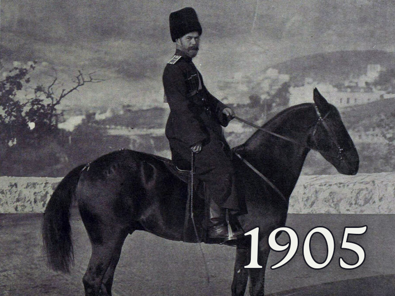View volume: 1905.