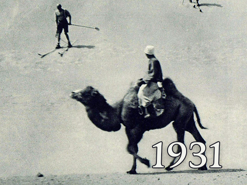 View volume: 1931.