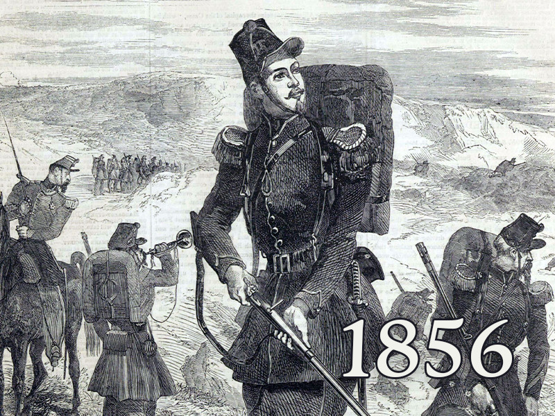 View volume: 1856.
