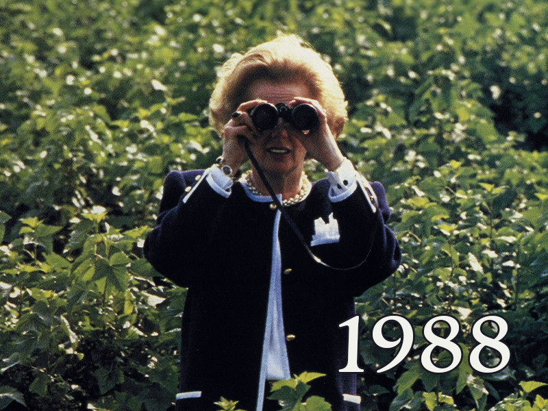 View volume: 1988.