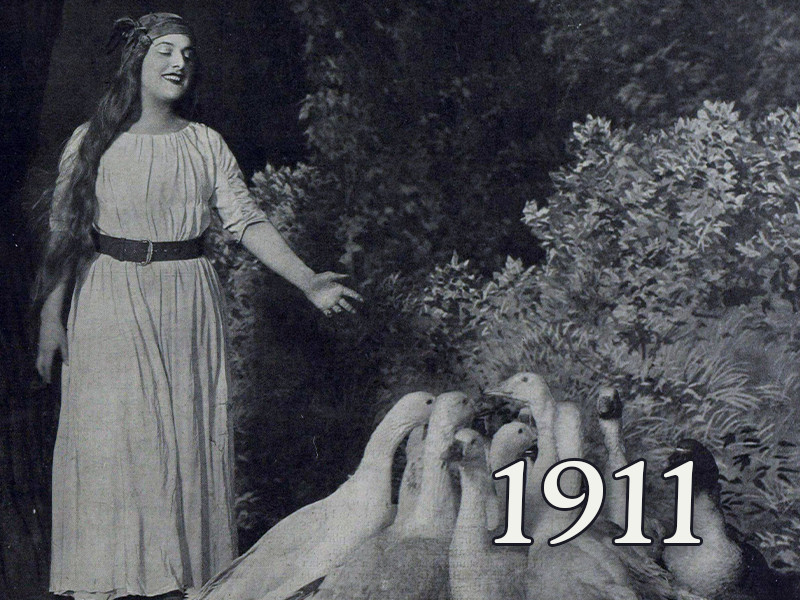 View volume: 1911.