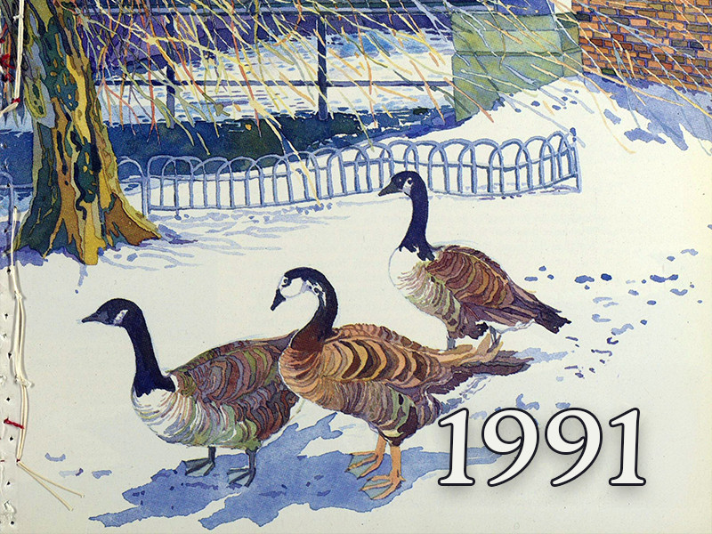 View volume: 1991.