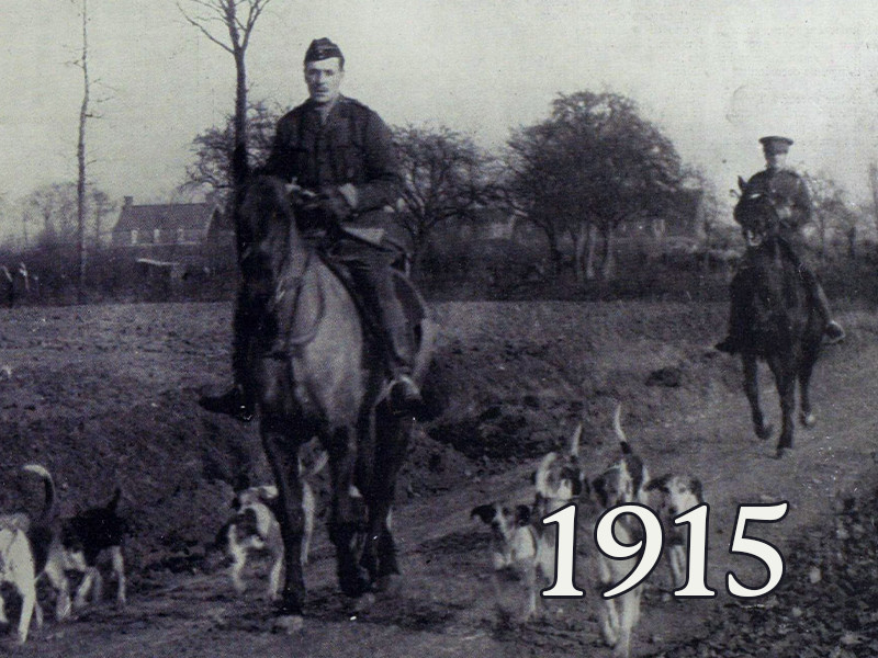 View volume: 1915.