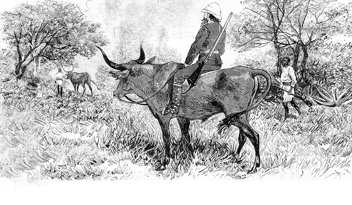 Vintage engraved illustration of a soldier riding a buffalo.
