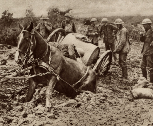 A photograph of a British war horse stuck in the mud while ferrying supplies during WW1.