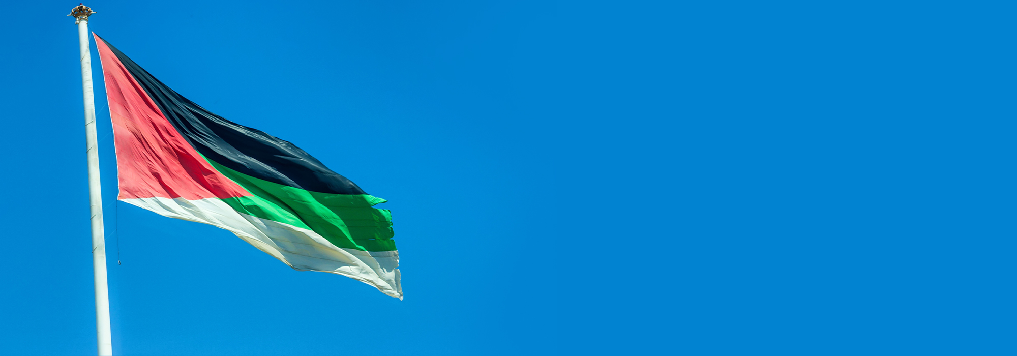 An image of the Flag Of The Arab Revolt