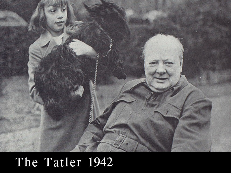 View volume: The Tatler, 1942.