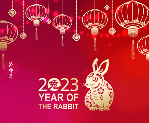 A poster for Lunar New Year, featuring illustrations of lanterns hanging from the top. An illustration of a rabbit is beside text reading 2023 Year of the Rabbit.