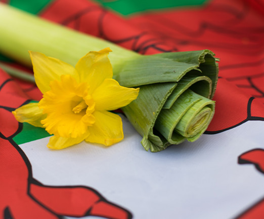 A photograph of a leek and a daffodil laid over the Welsh flag.