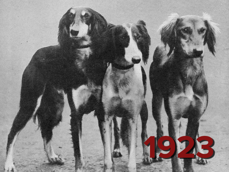 View volume: The Illustrated Sporting and Dramatic News, 1923.