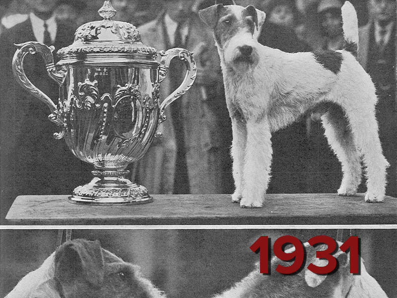 View volume: The Illustrated Sporting and Dramatic News, 1931.
