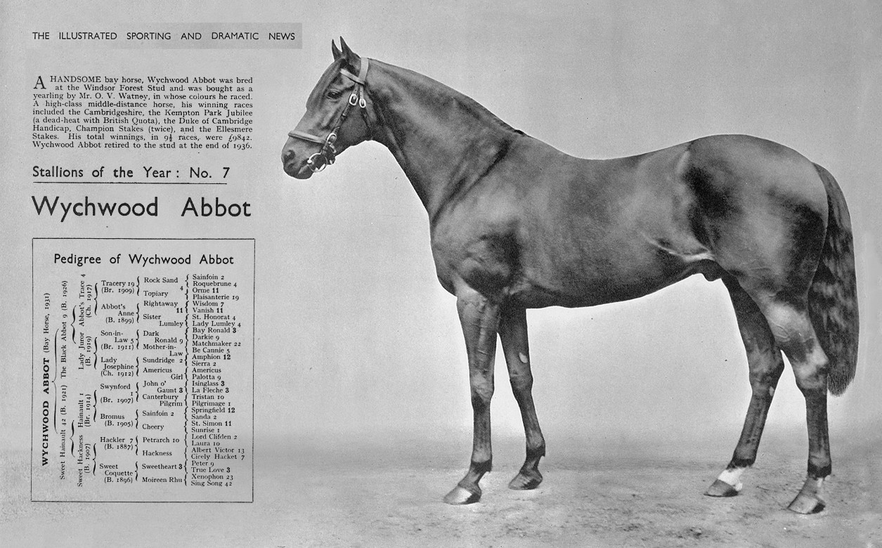 A black and white photo of a horse with the title Stallions of the Year.