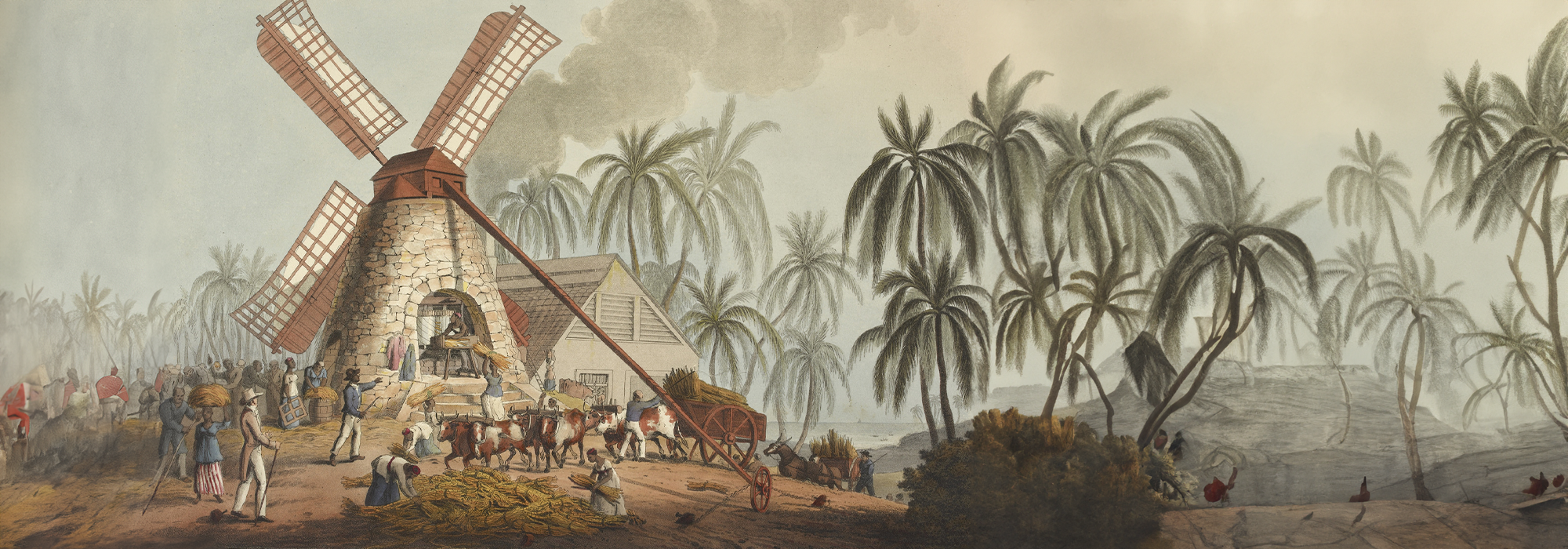 An engraving of The Mill Yard, grinding sugar cane in a windmill in 1823. A windmill on the left hand side, with people and cattle working.