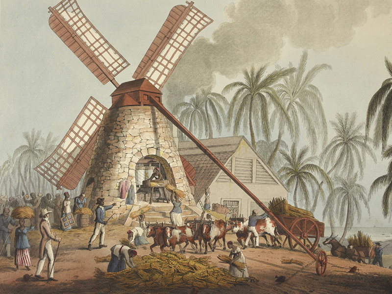 An engraving of The Mill Yard, grinding sugar cane in a windmill in 1823. A windmill on the left hand side, with people and cattle working.