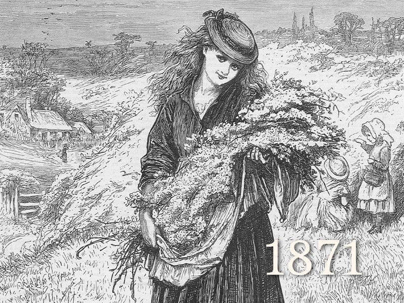 View volume: The Graphic, 1871.