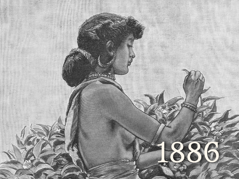 View volume: The Graphic, 1886.