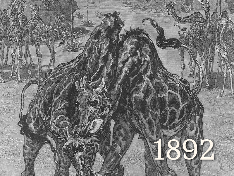 View volume: The Graphic, 1892.