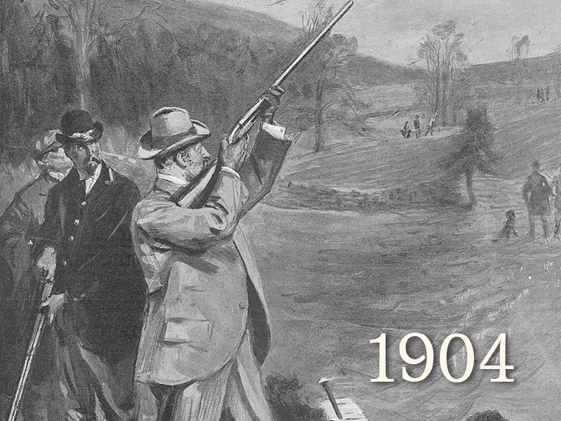 View volume: The Graphic, 1904.