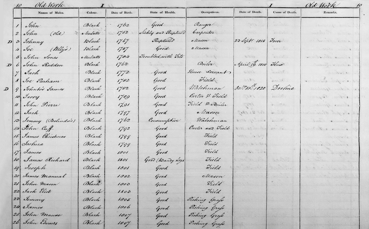 Register of slaves, includes date of birth, state of health, and cause of death. For early 1800s