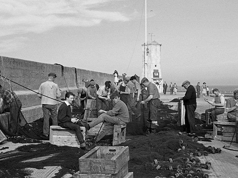 View volume: Records of the Ministry of Agriculture, Fisheries and Food, 1943-1963.