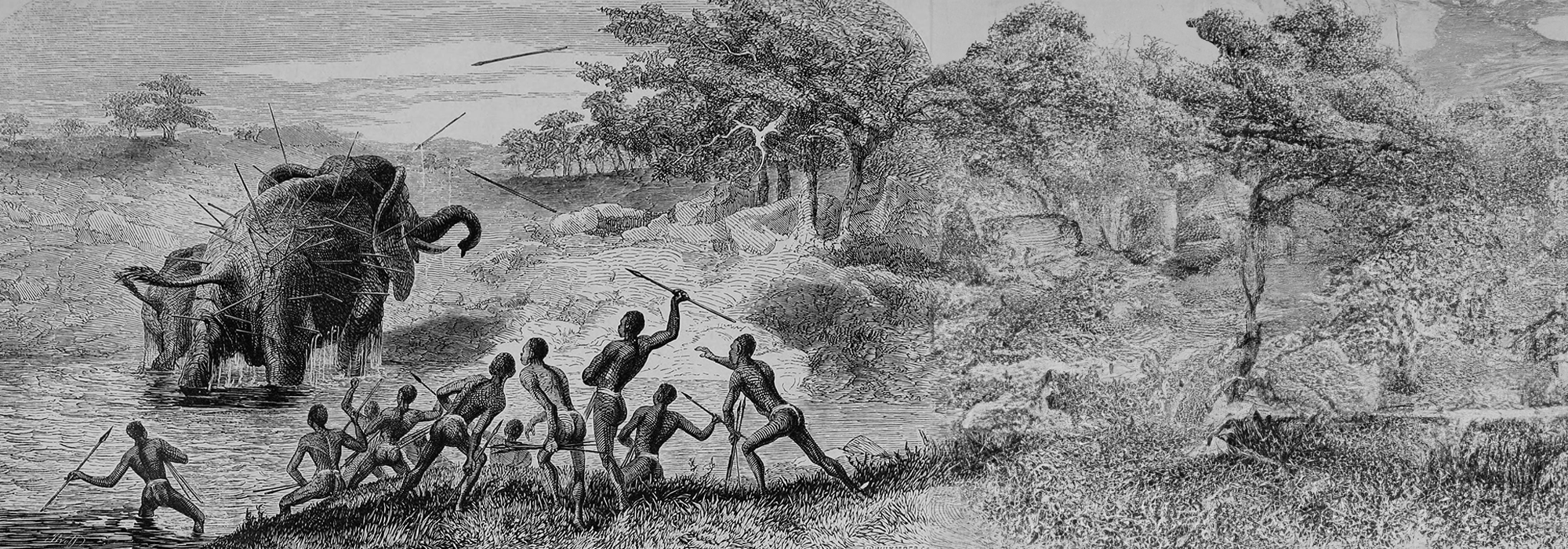 Female Elephant pursued with Javelins, protecting her young. Arrows are being thrown at the elephant by a crowd of people.