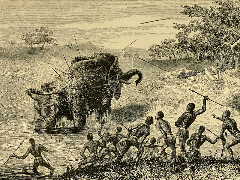 Female Elephant pursued with Javelins, protecting her young. Arrows are being thrown at the elephant by a crowd of people.