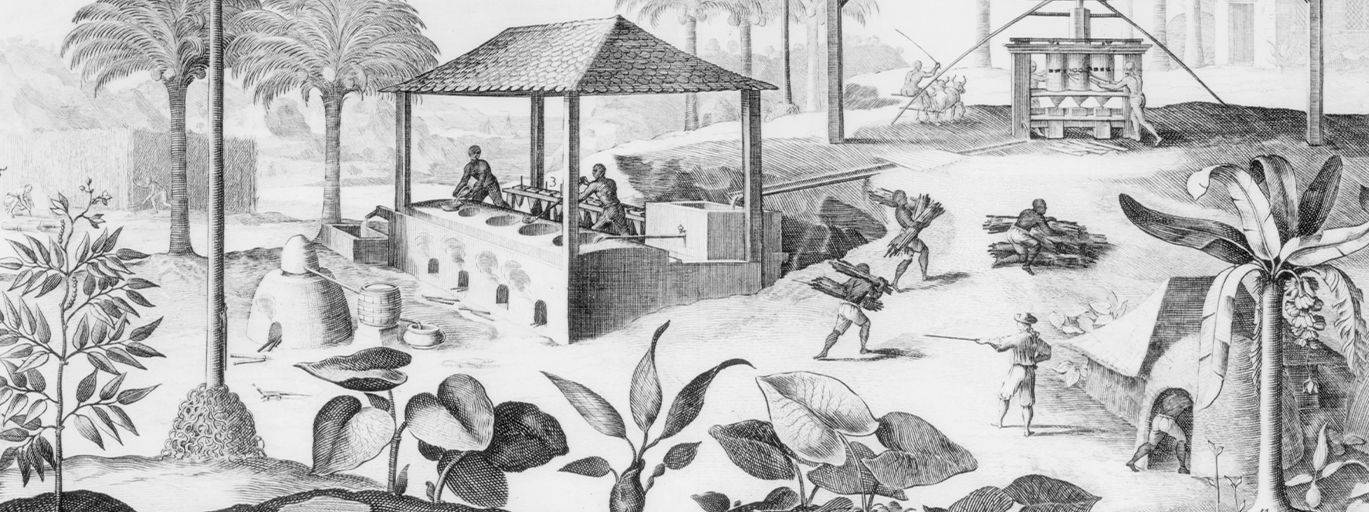 Sugar production in the West Indies in the 17th century, using an evaporating furnace (left), grinding mill driven by oxen (right), dwellings (lower right), and a large plantation house (upper right).