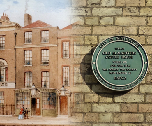 A collage of 1132 Old Slaughter's Coffee House, a tall brick house where the RSPCA was founded, and the blue plaque on it's wall.