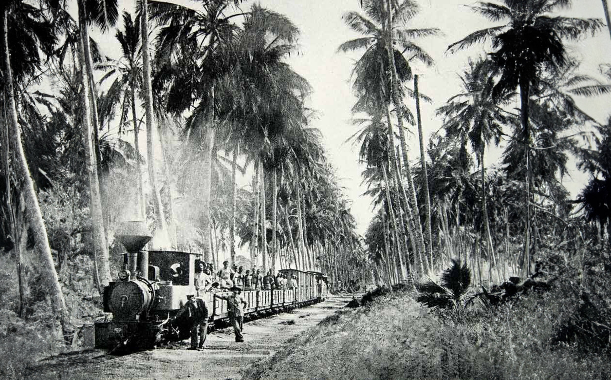 A train goes through the jungle on the trans-Zambezi railway. The locomotive has open carriages which people stand in.