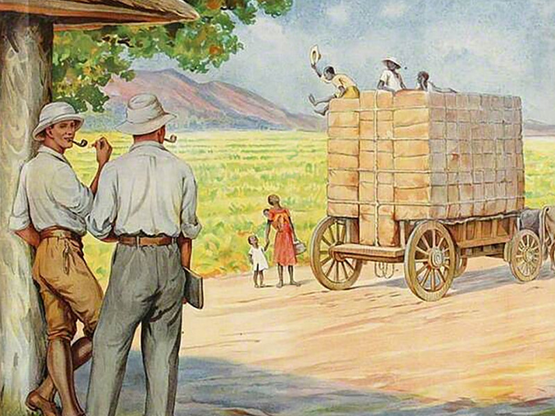 A tobacco plantation in Nyasaland. Two men stand under a shelter smoking pipes while a carriage drawn by long horned cattle, loaded with crates, sets off in to the distance.