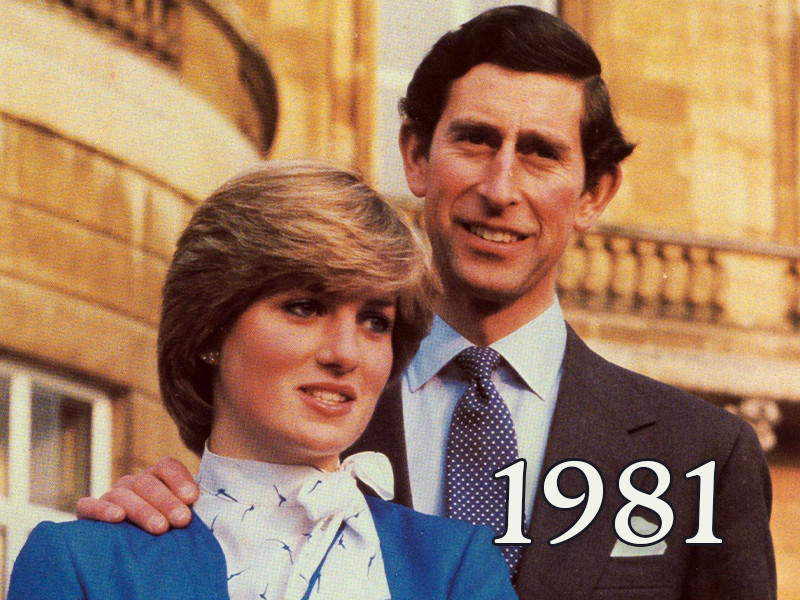 View volume: 1981.