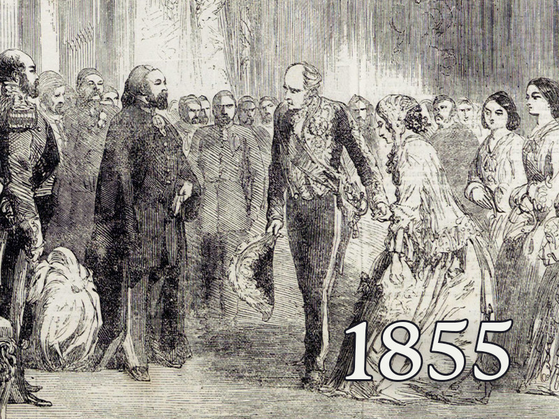 View volume: 1855.